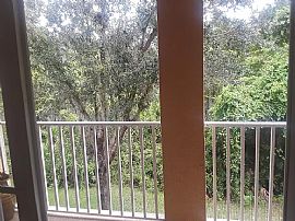 7313 Black Walnut Way, Lakewood Ranch, Fl 34202 in Bradenton, FL (Photo 12 of 12)