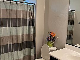 26238 N 107th Ln, Peoria, Az 85383 in Peoria, AZ (Photo 12 of 12)