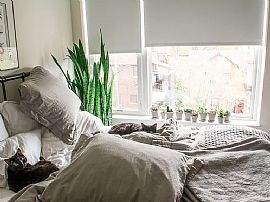 Avante Apartments, # 309a, 1601 N Jackson St, Milwaukee, Wi 532 in Milwaukee, WI (Photo 4 of 6)