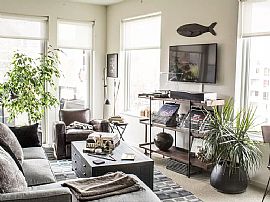 Avante Apartments, # 309a, 1601 N Jackson St, Milwaukee, Wi 532 in Milwaukee, WI (Photo 5 of 6)