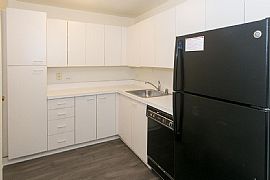 Homes For Rent in Chicago, IL (Photo 9 of 12)