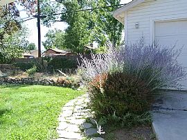 1647 Ordway Ave, Reno, Nv 89509 in Reno, NV (Photo 9 of 9)