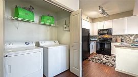 Classic Apartments  in Dallas, TX (Photo 9 of 11)