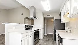 Charming 3 Bedroom 2 Bath Home Available For Rent  in Arlington, TX (Photo 2 of 6)