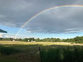 Bird Lovers Paradise! Charming Cottage on Large Private Lot in Branford, CT (Photo 11 of 12)