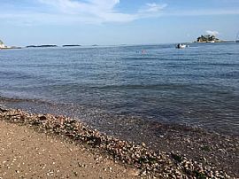 Bird Lovers Paradise! Charming Cottage on Large Private Lot in Branford, CT (Photo 12 of 12)