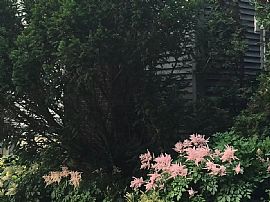 287 Locust Hl, Shelburne, Vt 05482 in Shelburne, VT