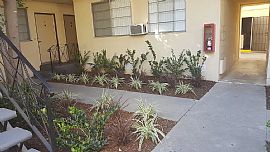 An Inspiration From The Past and Vision of The Future in Alhambra, CA (Photo 5 of 12)