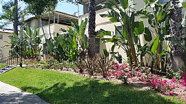 An Inspiration From The Past and Vision of The Future in Alhambra, CA (Photo 6 of 12)