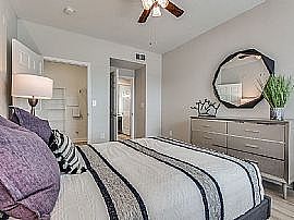 Deluxe Home in Irving, TX