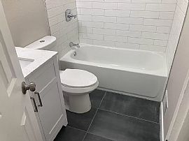 Beautiful 3 Bedroom 2 Bath Home For Rent  in Denver, CO (Photo 9 of 9)