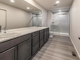 Beautiful 3 Bedroom 3 Bath Home For Rent  in Timnath, CO (Photo 6 of 10)