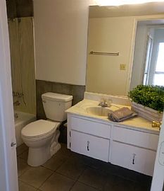 8401 E Calle Bogota, Tucson, Az 85715 in Tucson, AZ (Photo 9 of 12)