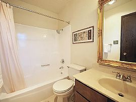 Amazing 3 Bedroom 2 Bath Home For Rent  in Austin, TX (Photo 4 of 8)