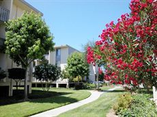 Beautiful, Spacious Apartments for Rent in San Jose, CA