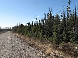 Alaska Land 1.35 Acres, in Chugiak, AK (Photo 3 of 9)