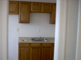 Newly Renovated, Beautiful 2-BR Apt in Detroit, MI