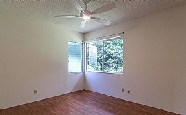 47-668 Halemanu St, Kaneohe, Hi 96744  Available For Rent in Kaneohe, HI (Photo 7 of 12)