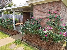 8201 Dison Dr, Montgomery, Al 36117 in Montgomery, AL (Photo 9 of 10)