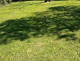 1326 Federal Dr, Montgomery, Al 36107 in Montgomery, AL (Photo 9 of 9)