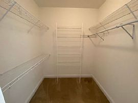 30108 Loblolly Cir, Spanish Fort, Al 36527  Peaceful House in Spanish Fort, AL (Photo 12 of 12)