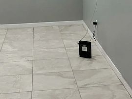 6023 W Camino San Xavier, Glendale, Az 85308 in Glendale, AZ (Photo 3 of 12)