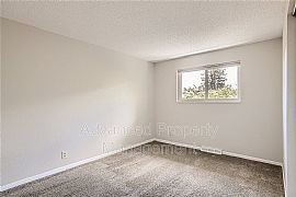 12938 W 1st Dr, Lakewood, Co 80228 House For Rent in Lakewood, CO (Photo 8 of 11)