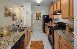 Comfortable 2 Bedroom Home  in Tampa, FL