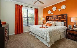 Comfortable 2 Bedroom Home  in Tampa, FL (Photo 11 of 11)