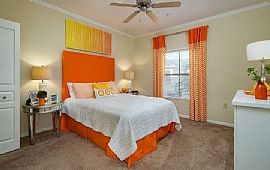 Comfortable 2 Bedroom Home  in Tampa, FL (Photo 3 of 11)