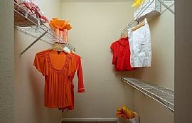 Comfortable 2 Bedroom Home  in Tampa, FL (Photo 5 of 11)