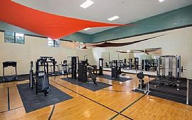 Comfortable 2 Bedroom Home  in Tampa, FL (Photo 6 of 11)