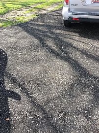 Affordable 2bedroom and 1bathroom in Greer, SC (Photo 4 of 12)