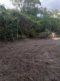 22.97 Acres and 2 Bedroom  in Bennettsville, SC (Photo 4 of 12)