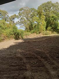 22.97 Acres and 2 Bedroom  in Bennettsville, SC (Photo 5 of 12)