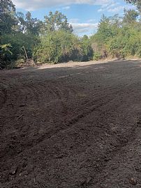 22.97 Acres and 2 Bedroom  in Bennettsville, SC (Photo 6 of 12)