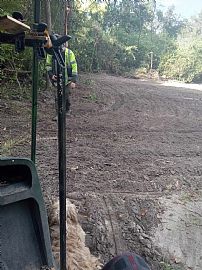 22.97 Acres and 2 Bedroom  in Bennettsville, SC (Photo 7 of 12)