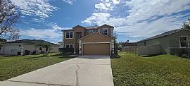 416 Gannet Ct, Kissimmee, Fl 34759 in Kissimmee, FL