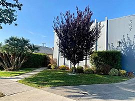 357 W Wilson Avenue, Apt 3, 357 W Wilson Ave, Glendale, Ca 9120 in Glendale, CA (Photo 3 of 12)