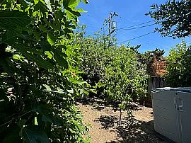 5bd Family Home in Campbell, CA (Photo 11 of 11)