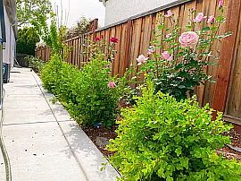 3bd Family Home in San Jose, CA (Photo 11 of 11)