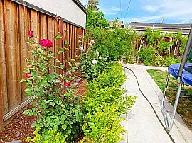 3bd Family Home in San Jose, CA (Photo 5 of 11)