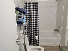 Ready to Move in  in Knoxville, TN (Photo 3 of 3)