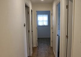 1303 Matthews Dr, Rockville, Md 20851 in Rockville, MD (Photo 6 of 12)