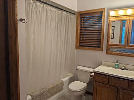 Cute 2 Bedroom Single Family Home in Chicago, IL (Photo 4 of 4)