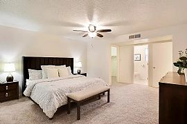 Newly Remodeled 3 Bed 3 Bath Home  in Albuquerque, NM (Photo 5 of 10)