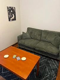 Spacious Room with Covered Parking  in Brevard, NC (Photo 5 of 12)