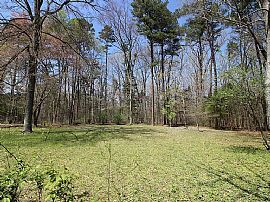 Bring Your Imagination in Chapel Hill, NC (Photo 1 of 12)