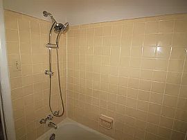 Bring Your Imagination in Chapel Hill, NC (Photo 6 of 12)