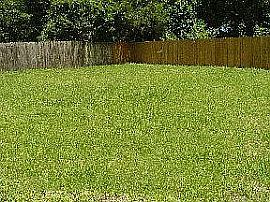 This Charming Home Is on a Quiet Street Centrally Located Close in Gainesville, FL (Photo 10 of 10)